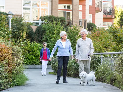 Senior couple walking their dog along a scenic path